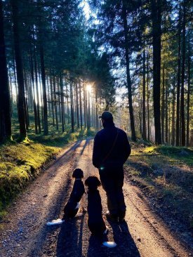 Jäger Max Busenius stehend mit Hunden im Wald Sonnenstrahlen